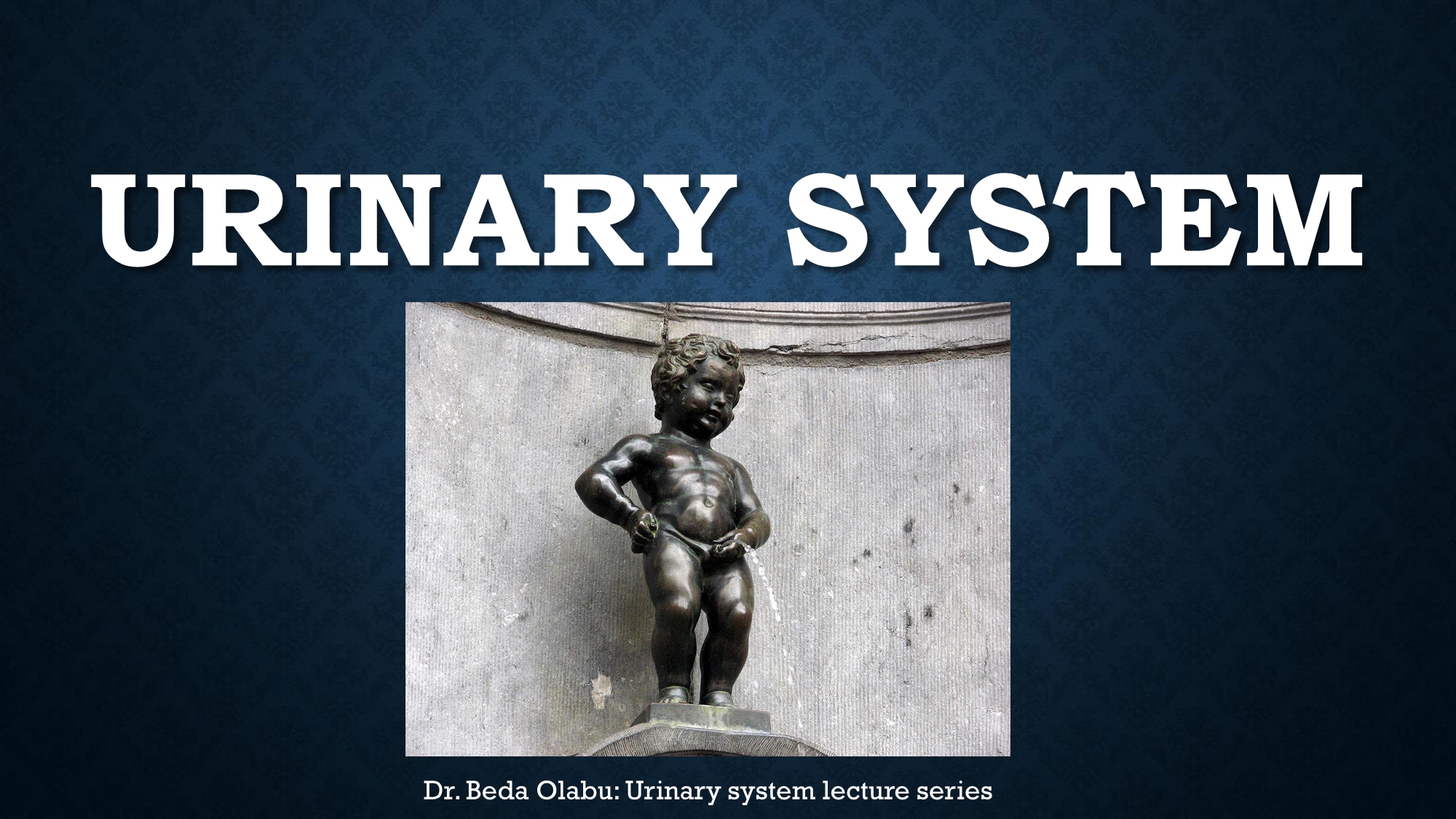 No preview available